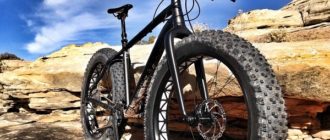 Fatbike - was es ist, wofür man es braucht und wie man es auswählt