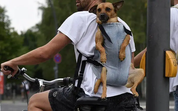 einen Rucksack für den Transport eines Hundes auf einem Fahrrad