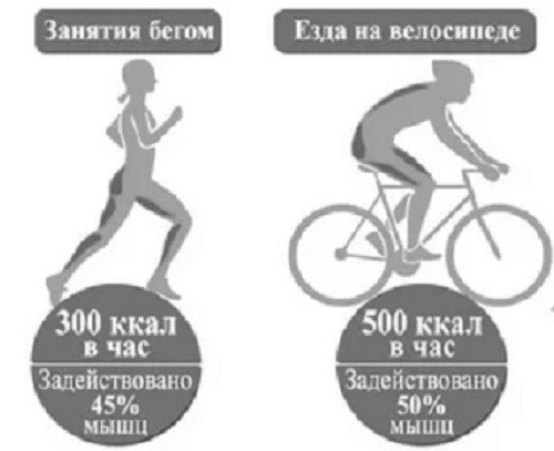 Kalorienverbrennung beim Laufen und Radfahren