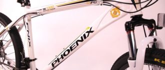 Phoenix Fahrrad - Vor- und Nachteile, Auswahltipps