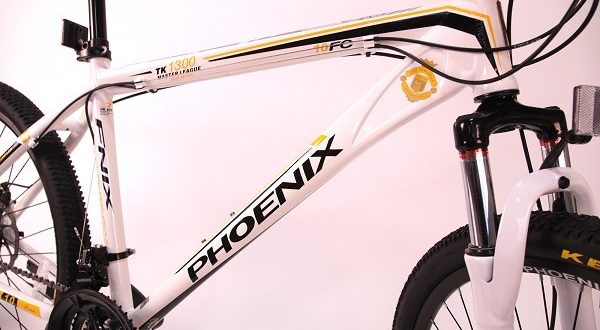 Phoenix Fahrrad - Vor- und Nachteile, Auswahltipps