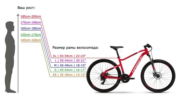 die Größe des Fahrradrahmens nach Höhe